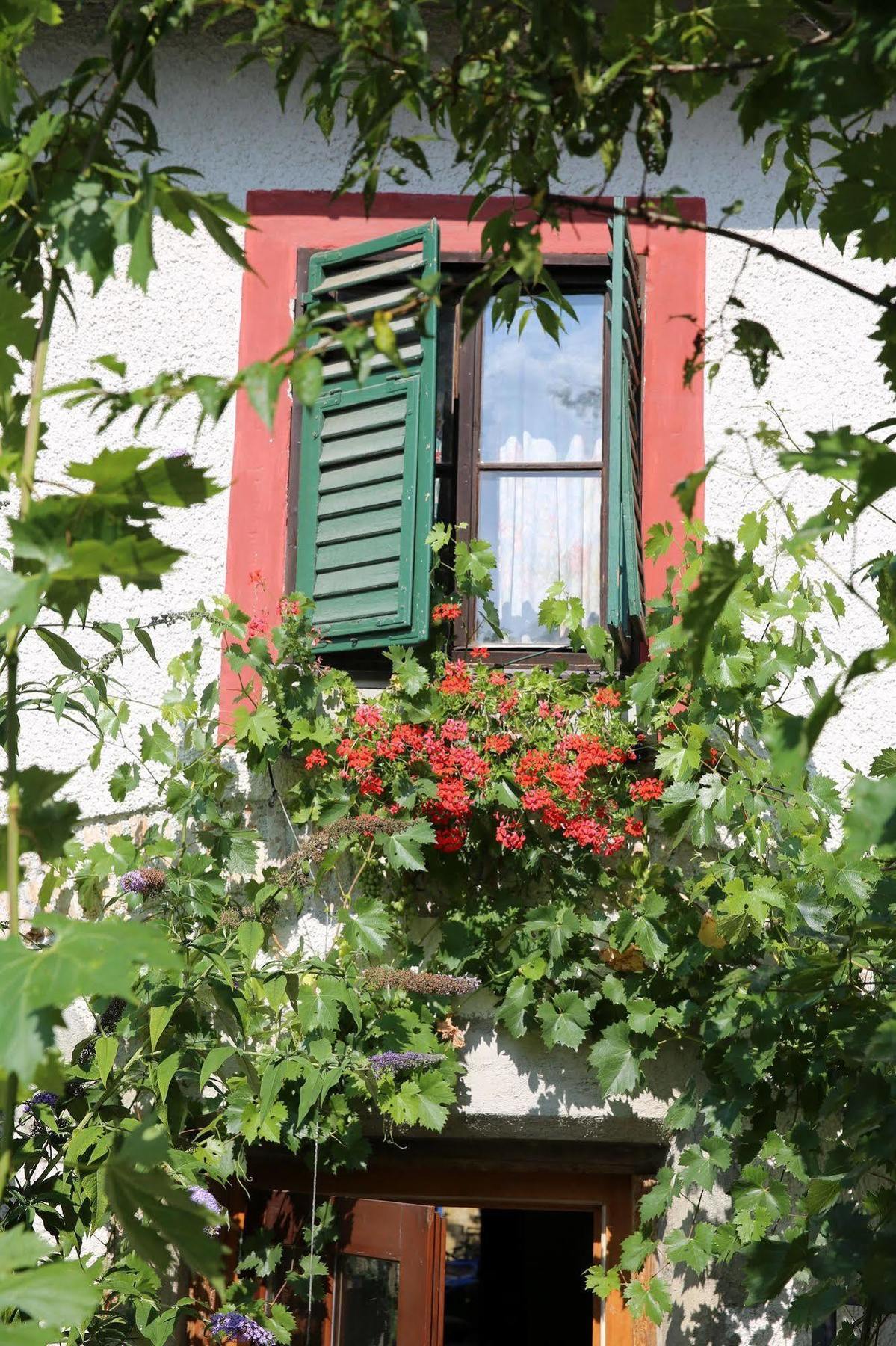 Pensjonat Haus Wartenberg